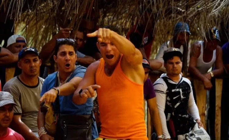 Giống Đá Gà Chọi Cuba Hi88 là gì, một số đặc điểm nhận biết về giống gà này