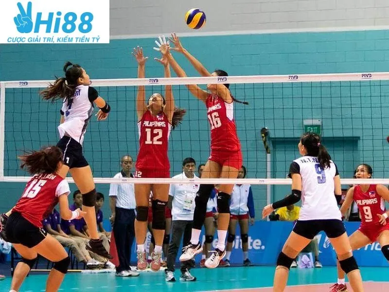 Cá Cược Bóng Chuyền- Cá Cược Siêu Hấp Dẫn Tại Hi88 2025 3 Một số loại cược bóng chuyền tại Hi88
