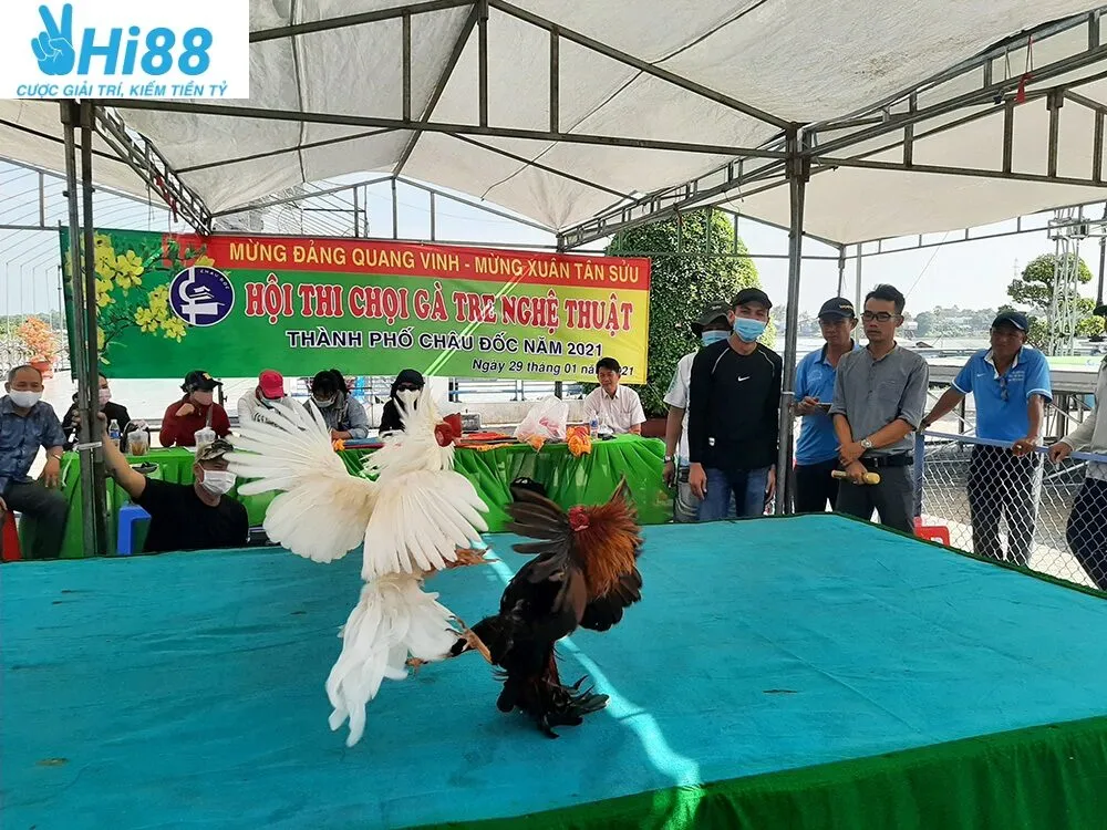 Đá Gà Tre Hi88 2025: Cá Cược Đá Gà Kịch Tính Hàng Đầu Hiện Nay 4 Giá trị kinh tế và văn hóa của Đá Gà Tre Hi88